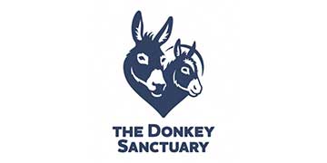 the donkey sanctuary